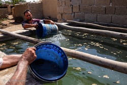 فرار از گرمای تابستان بوشهر