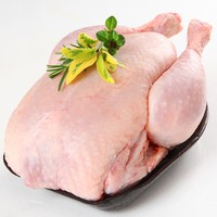 مرغ کامل یک کیلو