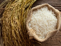 برنج وارداتی تایلندی رده ب