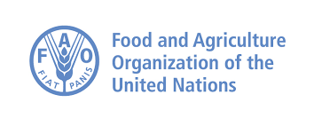 FAO: Conflicts cause 30 million food insecure people in Near East, North Africa