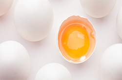 نحوه شکستن تخم مرغ توسط ماشین‌های صنعتی + فیلم