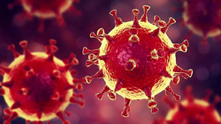 شناسایی علائم ویروس منحوس کرونا + فیلم