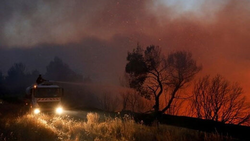 فیلمی از آتش‌ سوزی گسترده در تل‌ آویو
