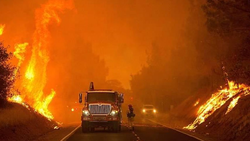 آتش‌ سوزی جنگلی گسترده در شمال شرق سانفرانسیسکو + فیلم