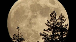 لحظه عبور ماه شگفت انگیز در آسمان شب + فیلم